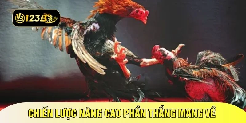 Chiến lược nâng cao phần thắng mang về 