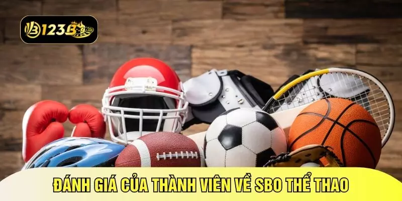 Đánh giá của thành viên về SBO thể thao