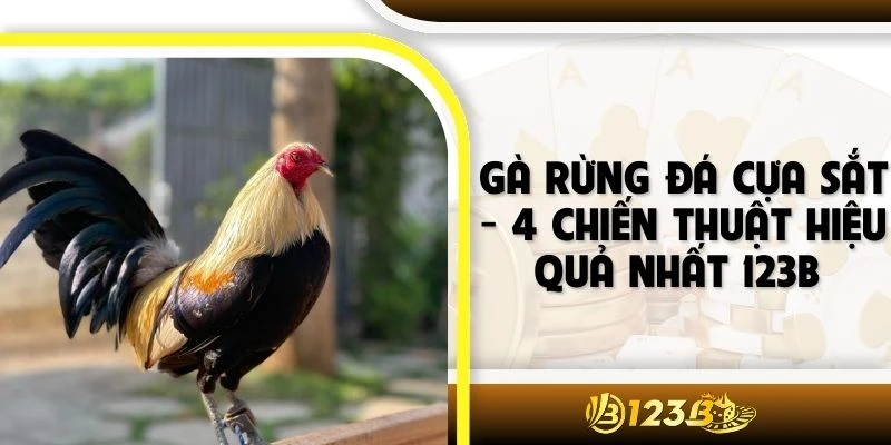 Gà Rừng Đá Cựa Sắt - 4 Chiến Thuật Hiệu Quả Nhất 123B 