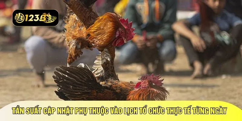 Tần suất cập nhật phụ thuộc vào lịch tổ chức thực tế từng ngày