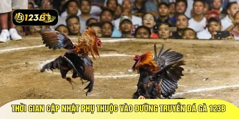 Thời gian cập nhật phụ thuộc vào đường truyền đá gà 123B 