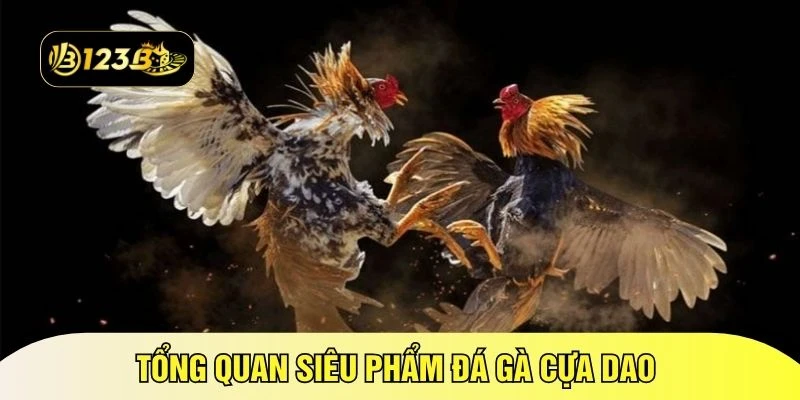 Tổng quan siêu phẩm đá gà cựa dao 